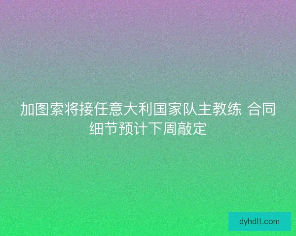 加图索将接任意大利国家队主教练 合同细节预计下周敲定