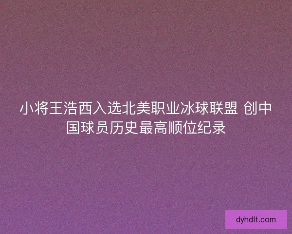 小将王浩西入选北美职业冰球联盟 创中国球员历史最高顺位纪录